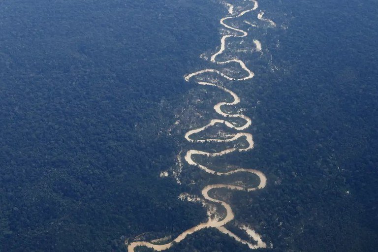 Desmatamento na Amazônia: Fevereiro Registra o Menor Índice da História!